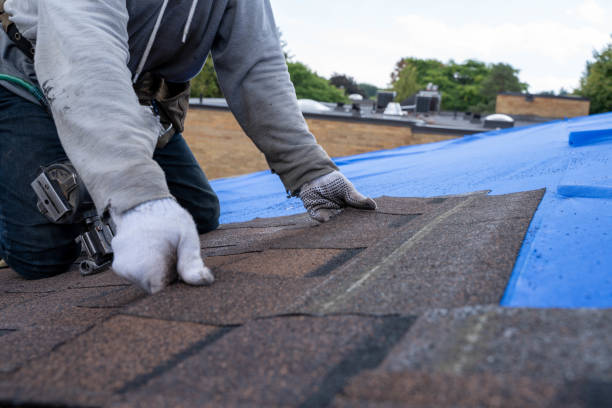 Best Emergency Roof Repair  in Ellenville, NY