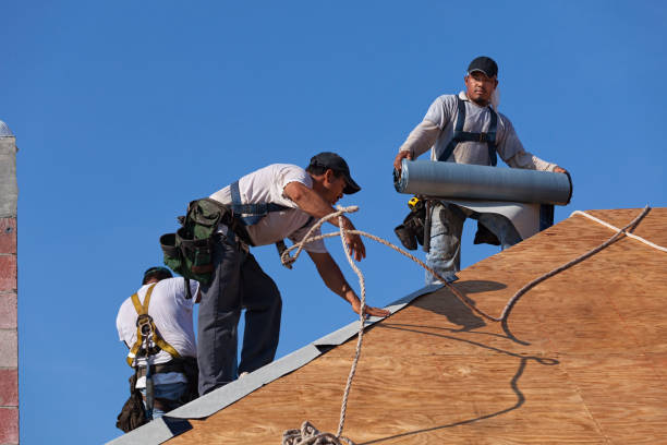 Best Roof Gutter Cleaning  in Ellenville, NY