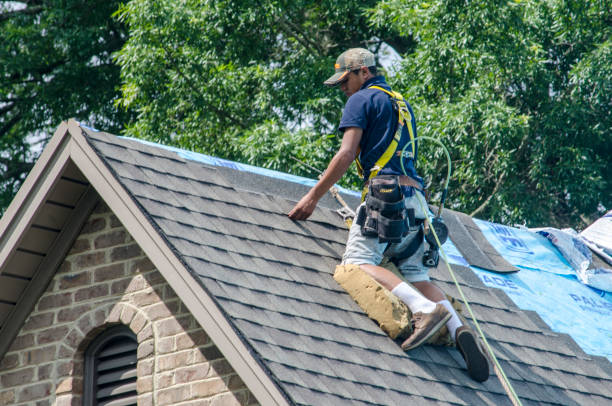 Best Gutter Installation and Roofing  in Ellenville, NY